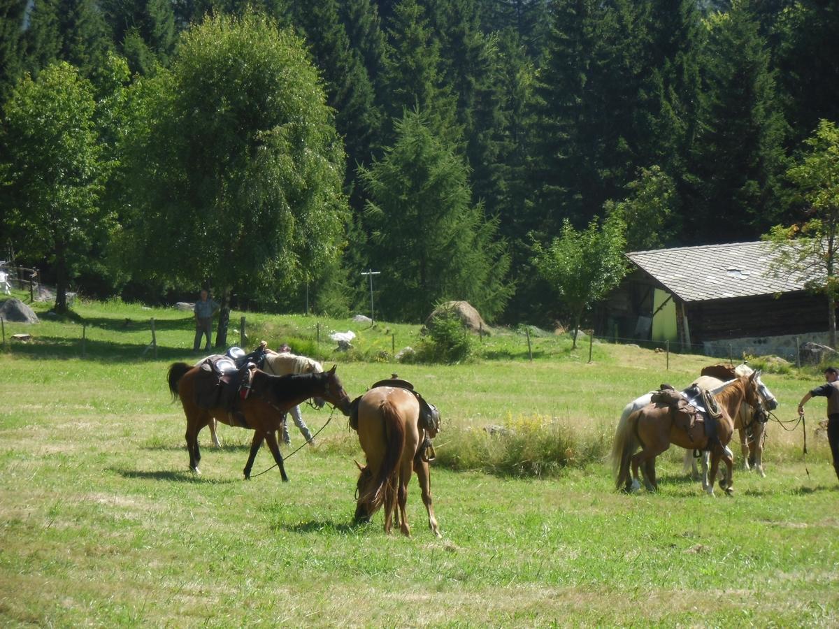 Отель Locanda La Ruscoletta Telve Экстерьер фото